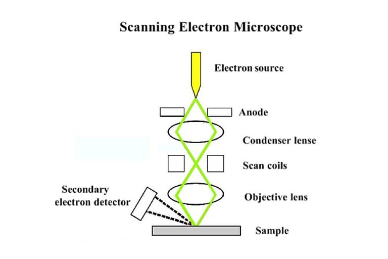 阴极荧光光谱/阴极发光扫描电子显微镜(SEM-CL)
