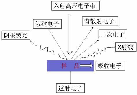 激光剥蚀电感耦合等离子体质谱(LA-ICP-MS)