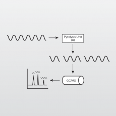 热解气相色谱/质谱(GC-MS