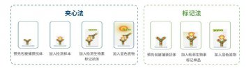 蛋白芯片扫描